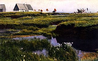 Rübenau auf der Heide