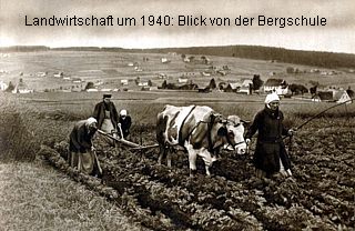 Landwirtschaft vor 100 Jahren