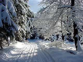 Skilaufen im Erzgebirge