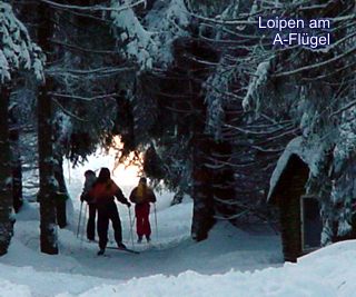 Loipen im Erzgebirge