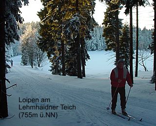 Lehmhaidner Teich bei R�benau im Erzgebirge