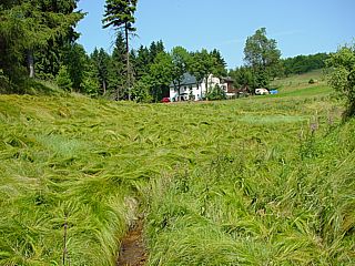 im Tal 
der Lehmhaidner Bach