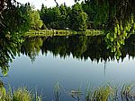 Wanderung zum Steinh�bel