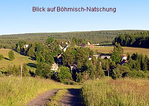 Weg zum Lauschh�bel - Blick zur�ck auf Natzschung