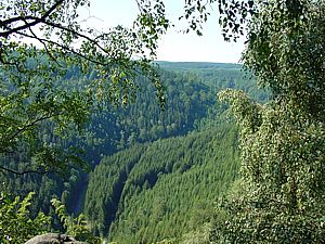 Blick vom St��erfelsen