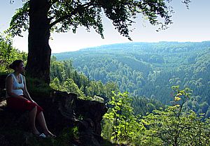 auf dem St��erfelsen