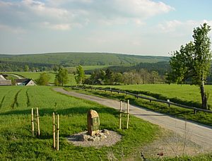 Antonseck in Rübenau