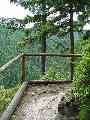Grüner Graben am Schwarzwassertal
