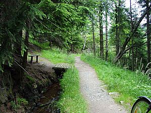 Grüner Graben