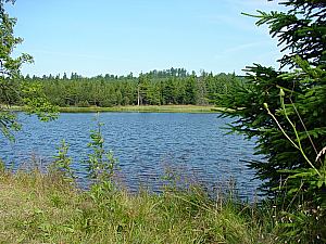 Lehmhaidner Teich
