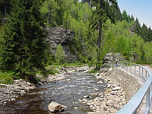 Schwarze Pockau - Schwarzwassertal