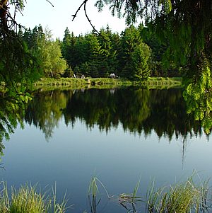der Lehmhaidner Teich im Kriegwald bei R�benau