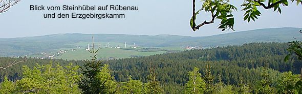 Panoramablick auf R�benau mit Erzgebirgskamm