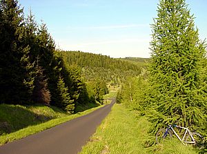 ins T�ltzschbachtal
