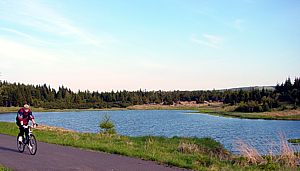 Ochsenstollner Teich