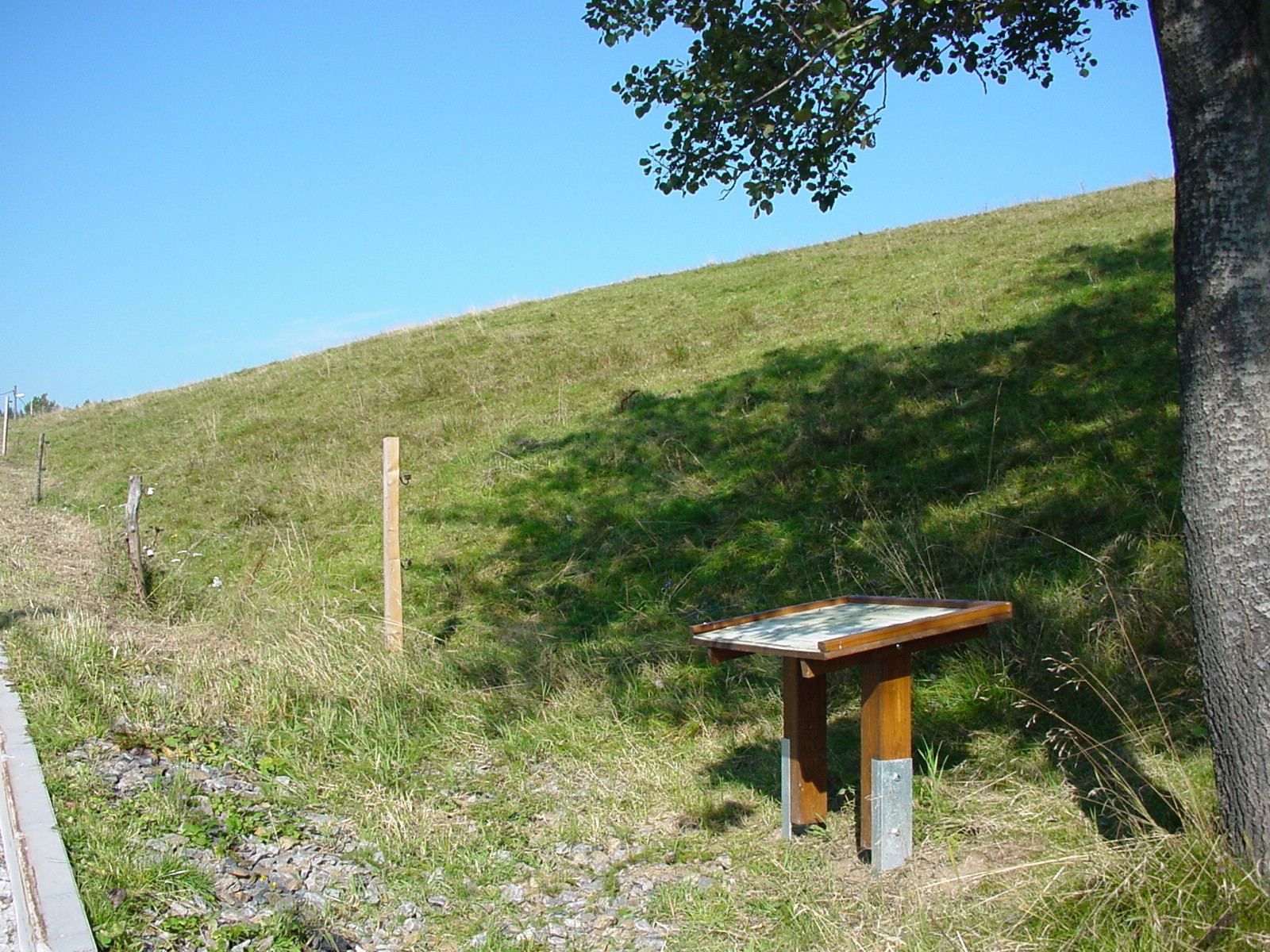 Bergwiese am Hradschin