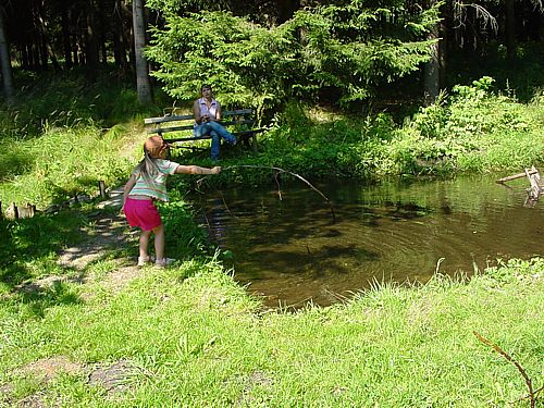 Märchenwiese in Rübenau - Wildbach