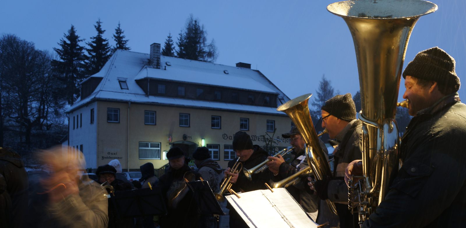 Weißer Hirsch im Winter