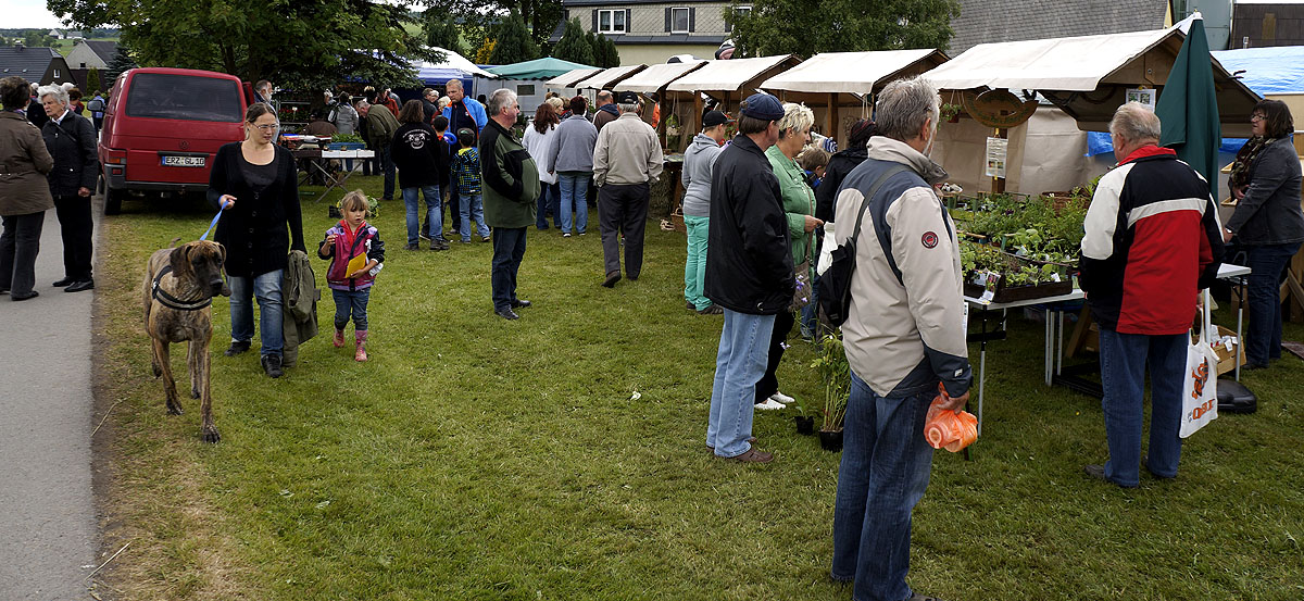 Rübenauer Bergwiesenfest