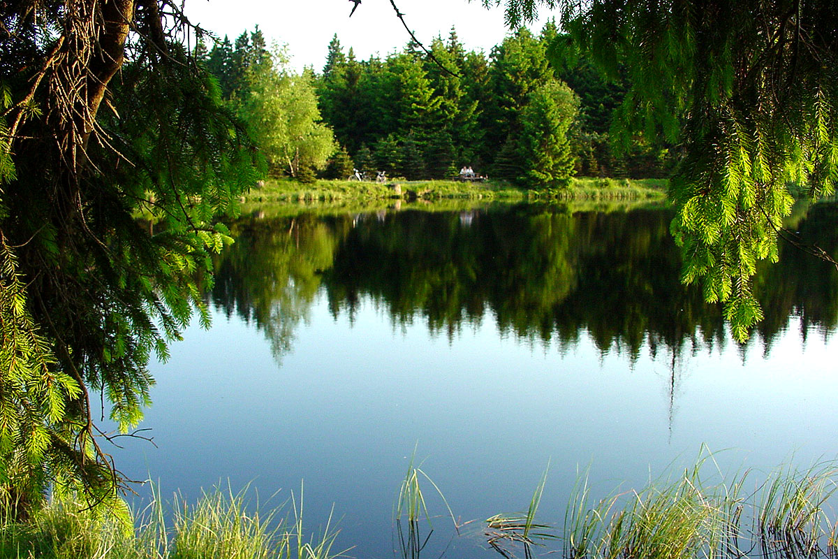 Blick über den Lehmhaidner Teich Blick über den Lehmhaidner Teich
