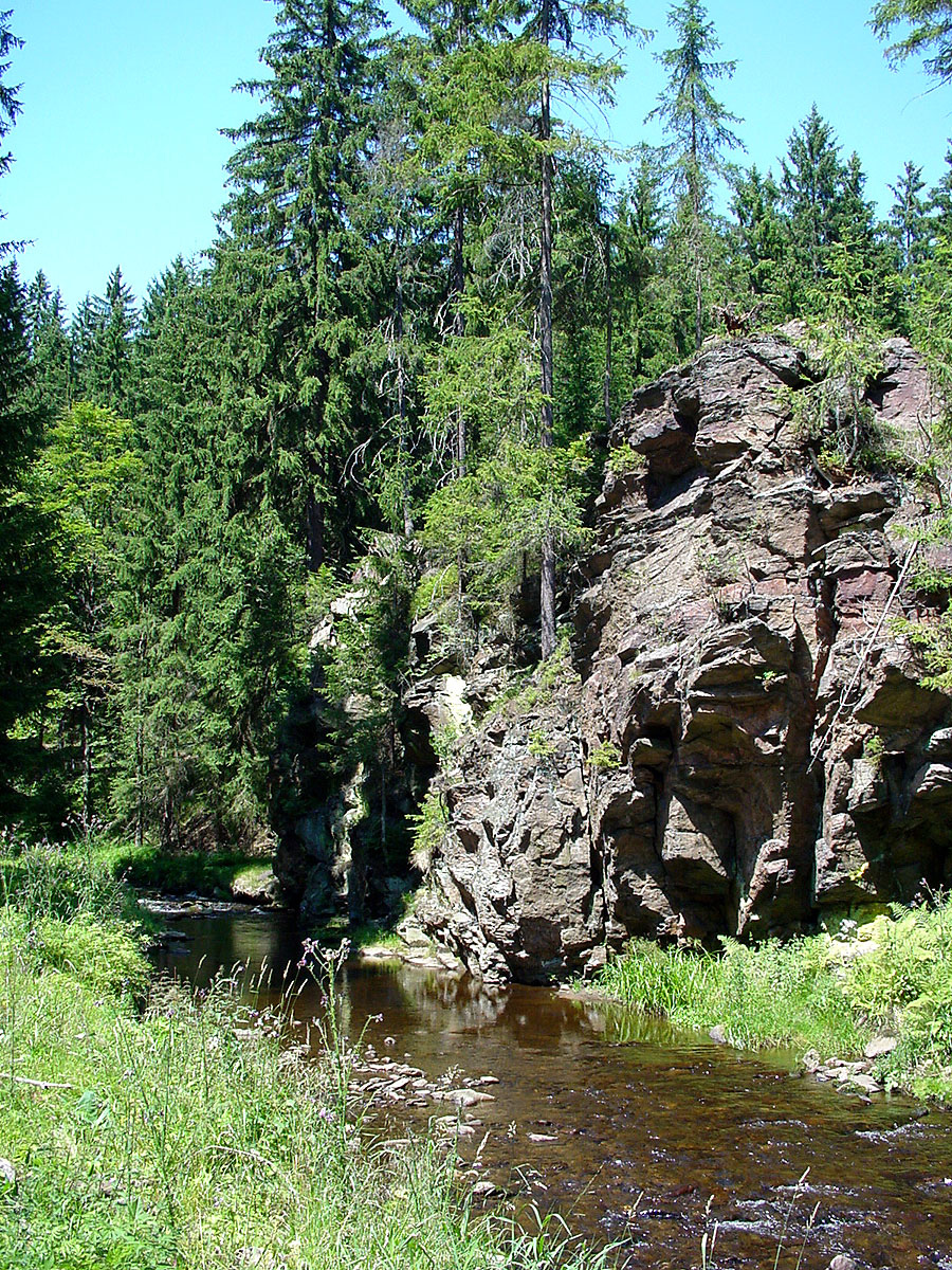 Felsen im Natzschungtal