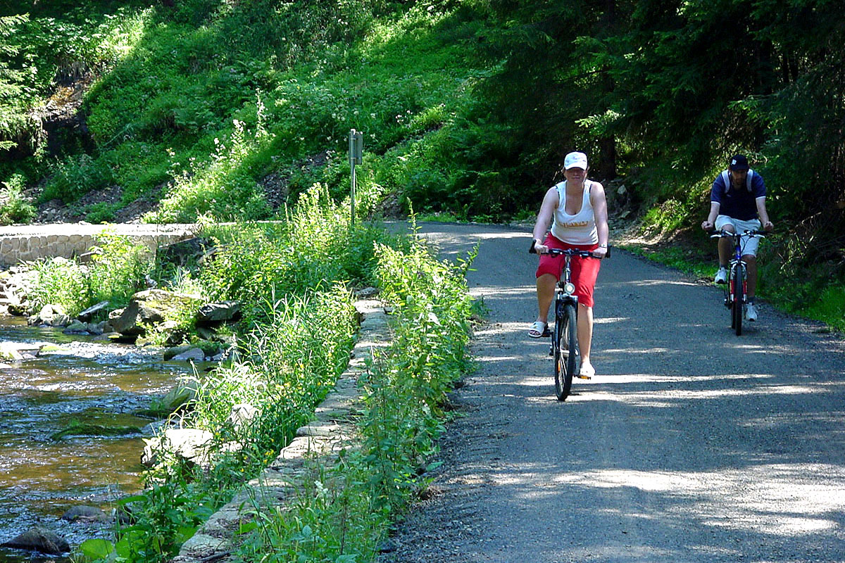 Radweg im Natzschungtal Radweg im Natzschungtal