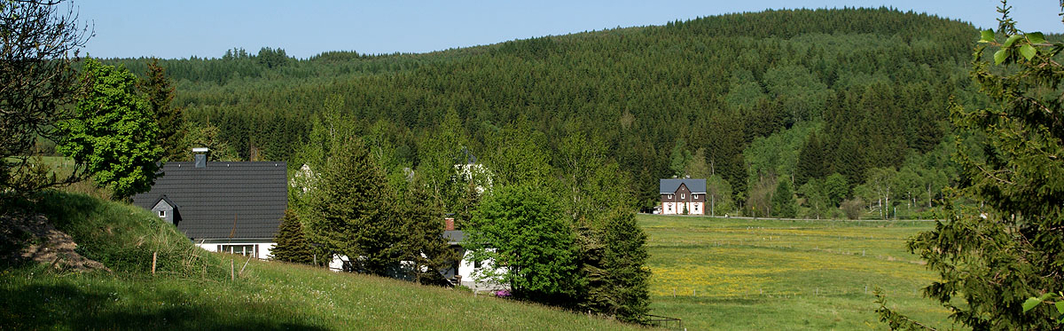 Blick vom oberen Natzschungweg
