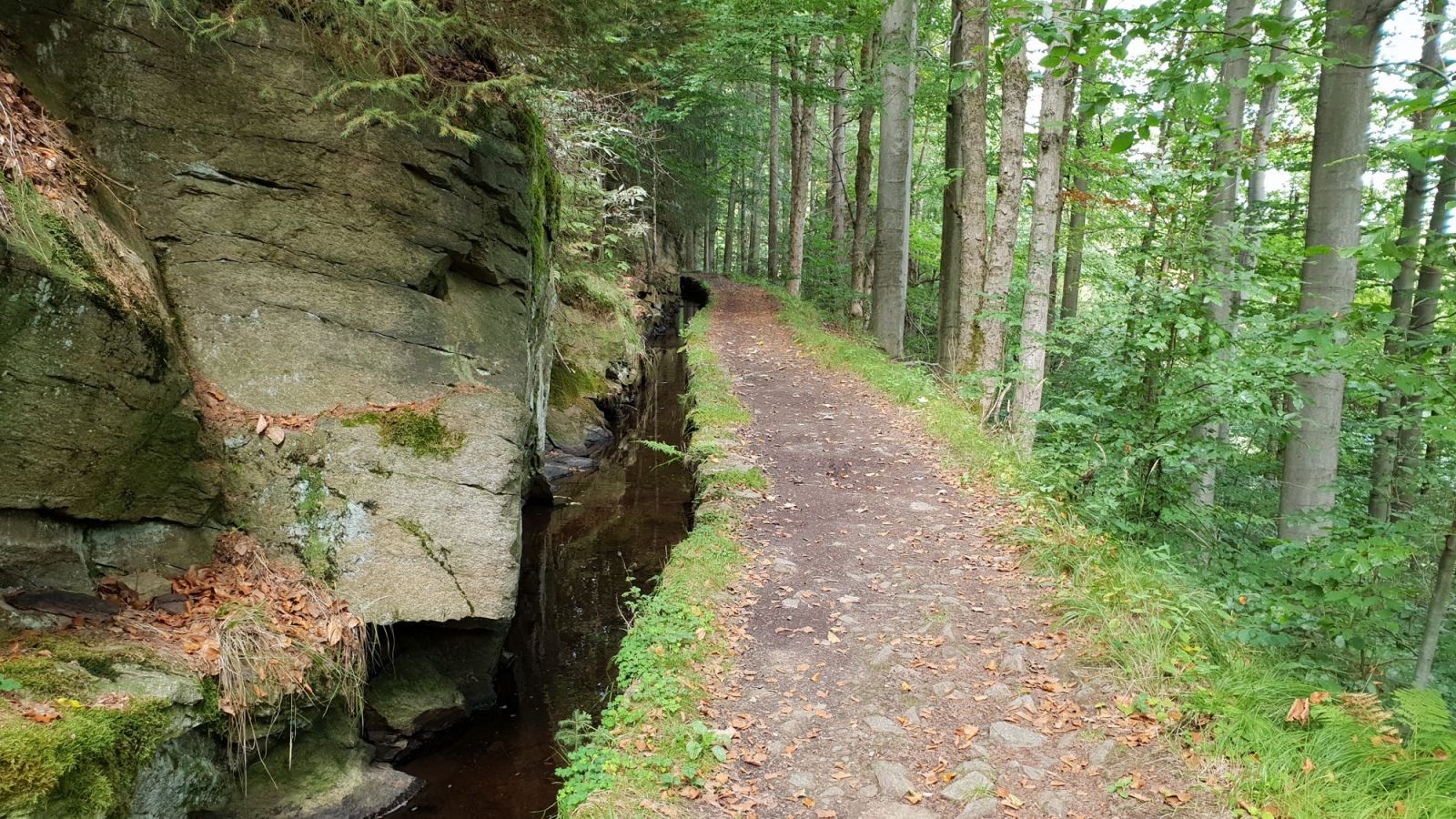 Grüner Graben