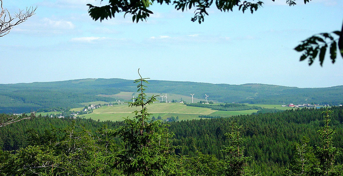 Blick vom SteinhÃ¼bel auf RÃ¼benau