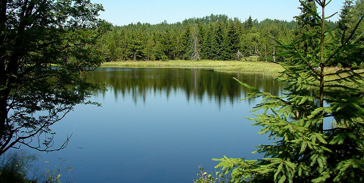 Am Lehmheidner Teich