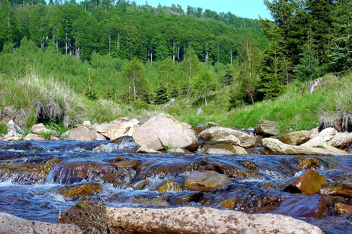 Blick ins Töltzschbachtal Blick ins Töltzschbachtal