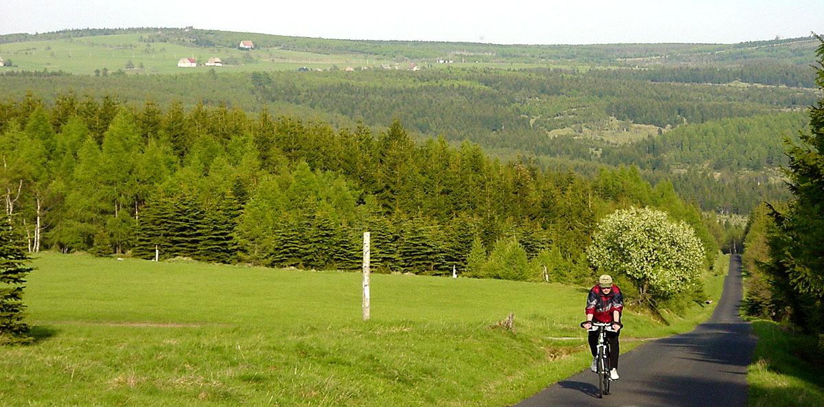 Oberes Töltzschbachtal