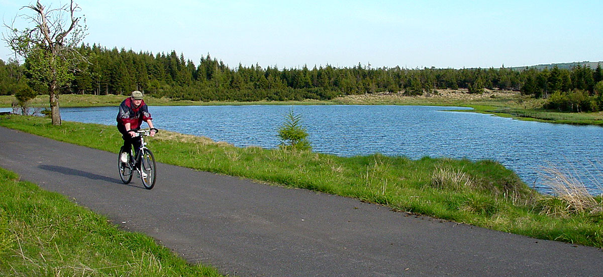 Am Ochsenstollner Teich