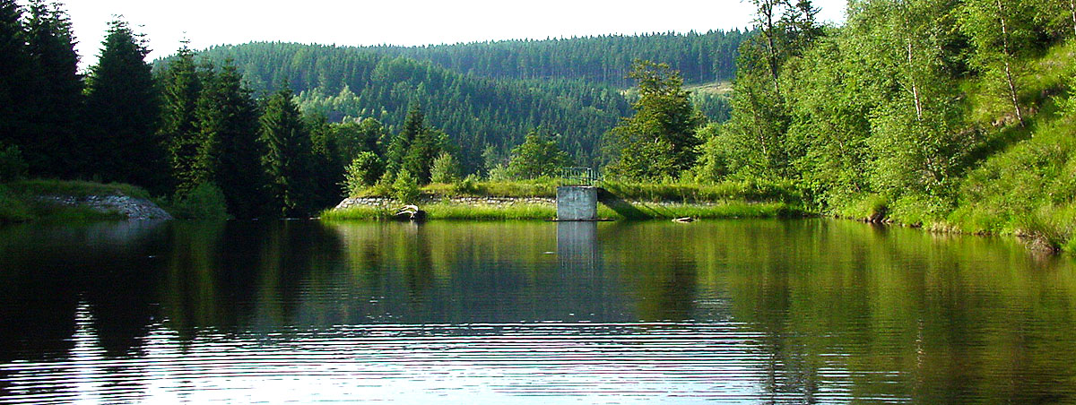 Am Stauweiher Gabrielahütten